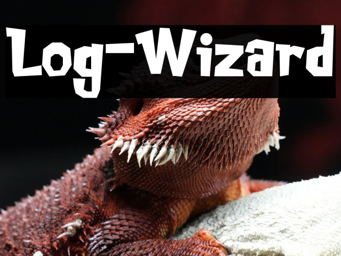 Log-Wizard Example 2