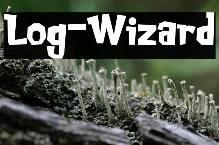 Log-Wizard Example 3
