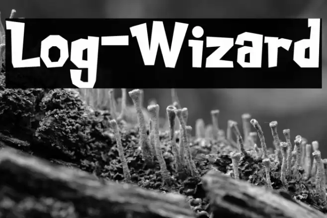 Log-Wizard フォント examples