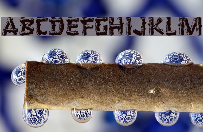 Logger [Plain]:001.001 Example 2