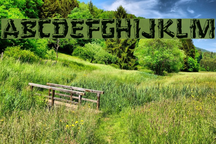 Logger [Plain]:001.001 Example 3