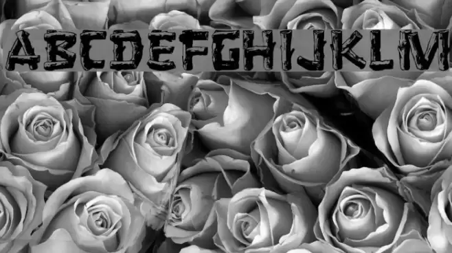 Logger Regular Font examples