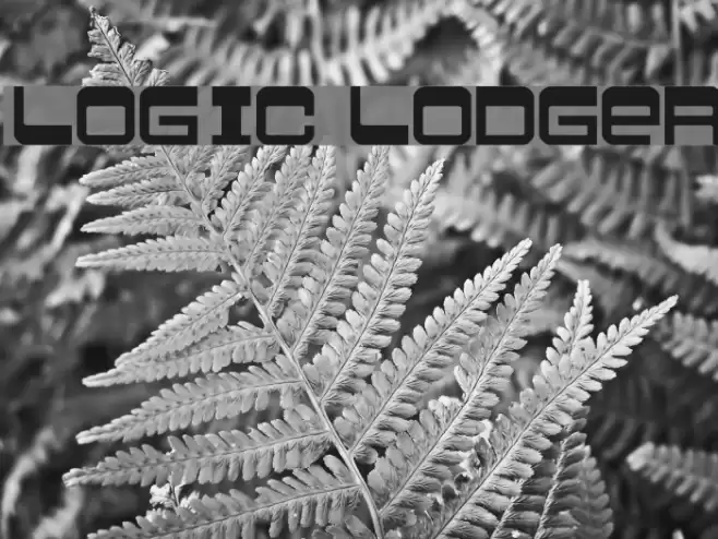 Logic lodger Font examples