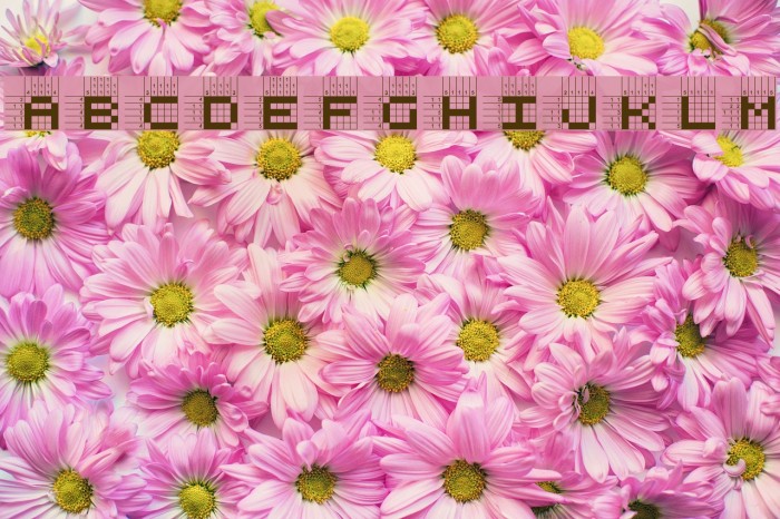 Logic twenty-five A Font examples