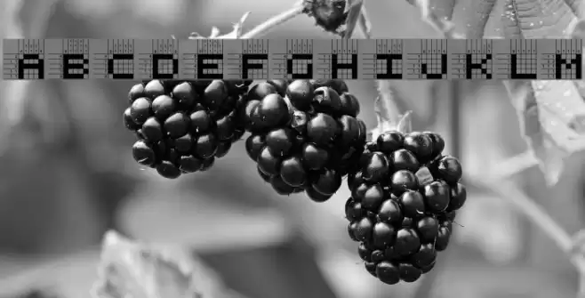 Logic twenty-five A Fonte examples