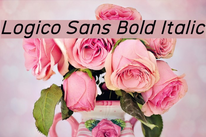 Logico Sans Bold Italic Font examples