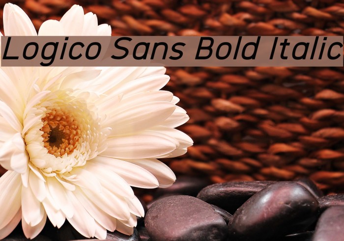 Logico Sans Bold Italic Font examples