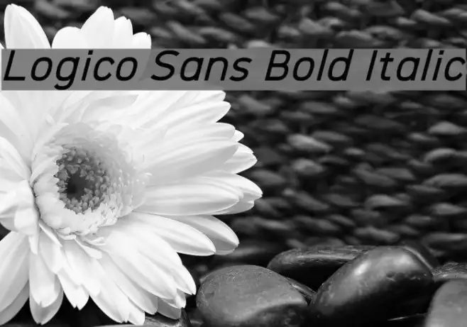 Logico Sans Bold Italic Example 2