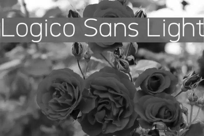 Logico Sans Light Font examples