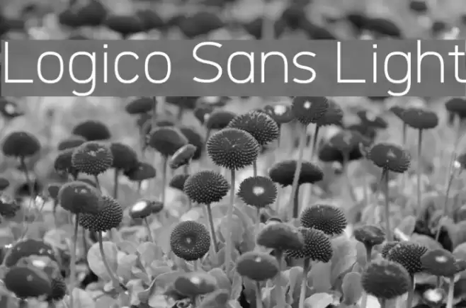 Logico Sans Light Font examples