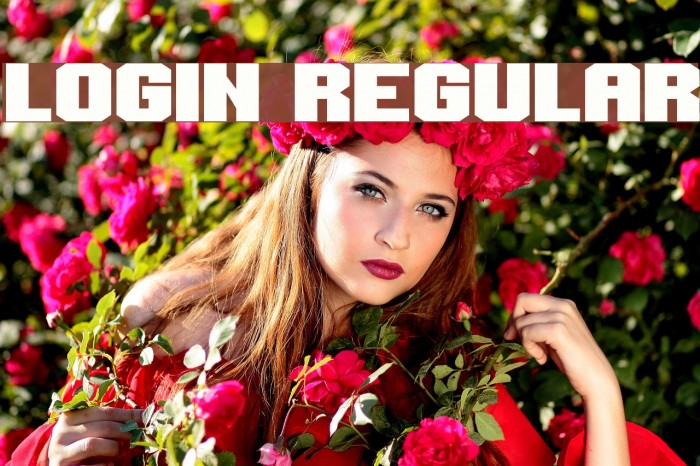Login Regular Font examples