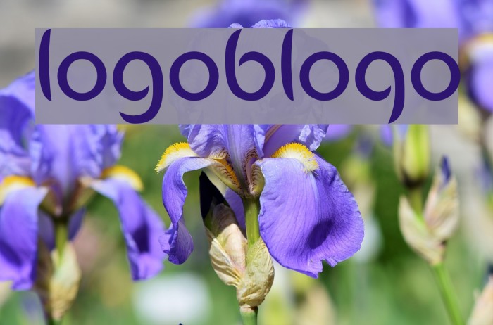 Logobloqo2 Font examples