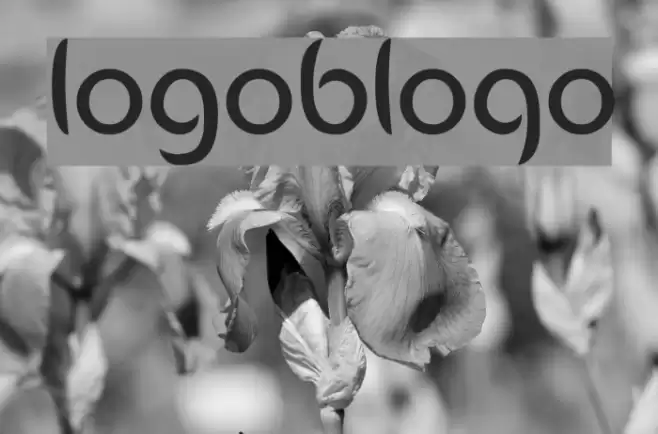 Logobloqo2 Polices examples