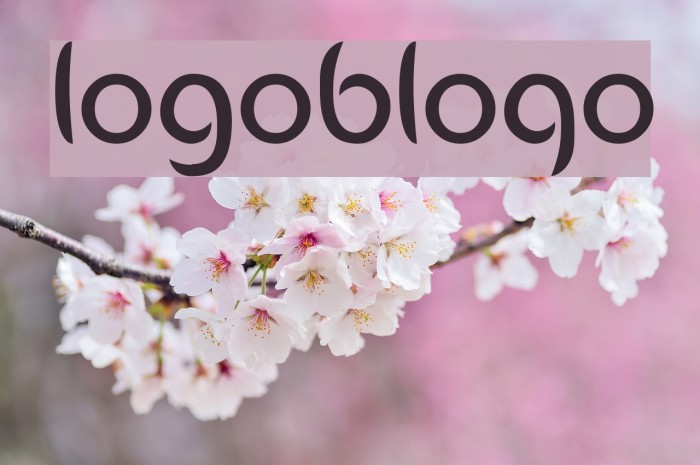 Logobloqo2 Font examples