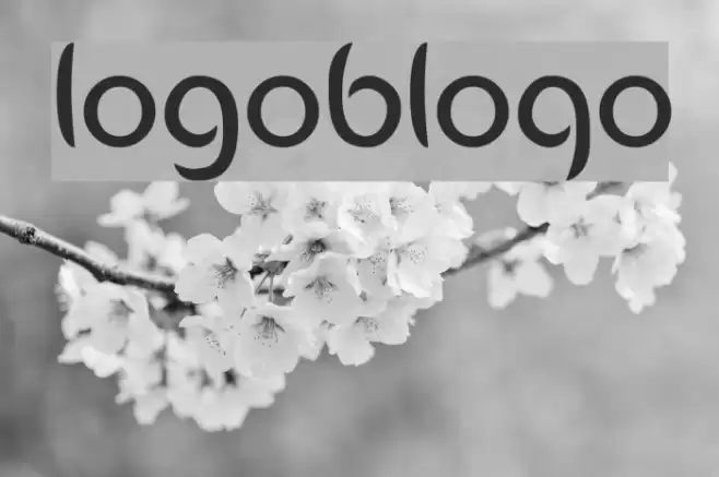 Logobloqo2 Polices examples