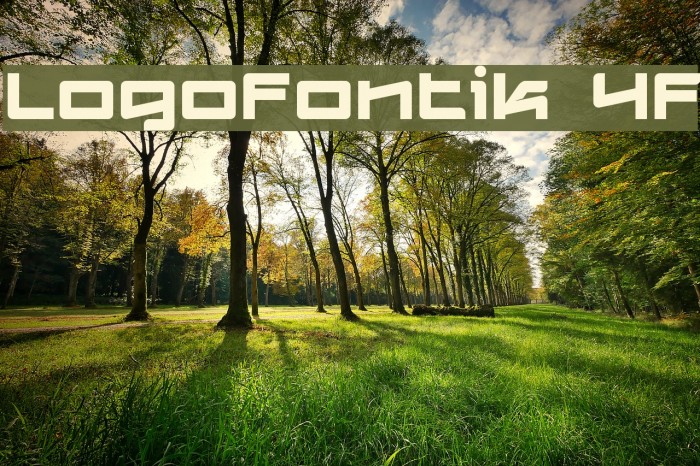Logofontik 4F Fonte examples