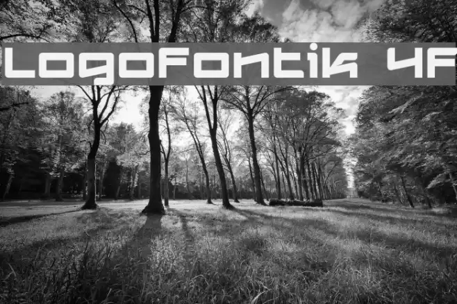 Logofontik 4F Font examples