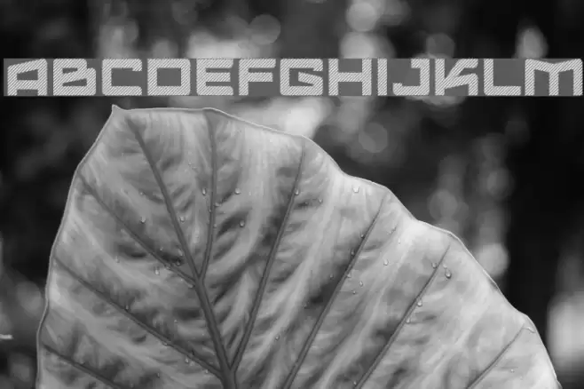 LogofontikStripes4F Шрифта examples
