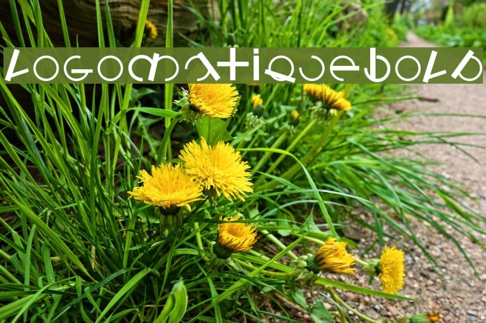 LogomatiqueBold Example 1