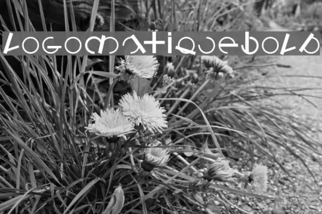 LogomatiqueBold Font examples