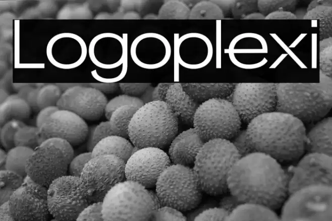 Logoplexi Font examples