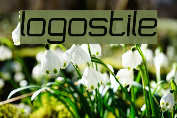 Logostile Font examples
