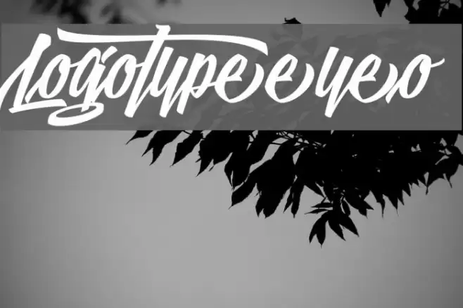 LogotypeFrenzyDemo Schriftart examples