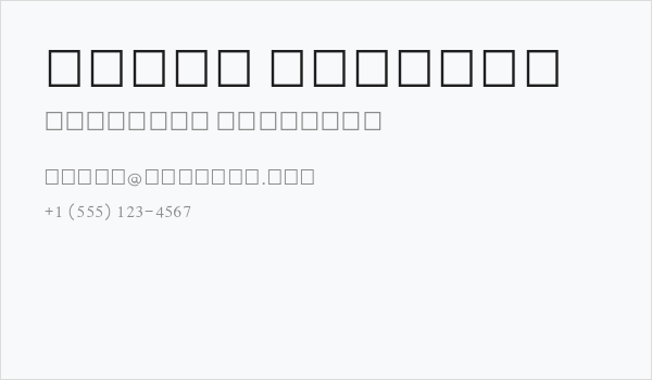 Lohit Punjabi Business Card