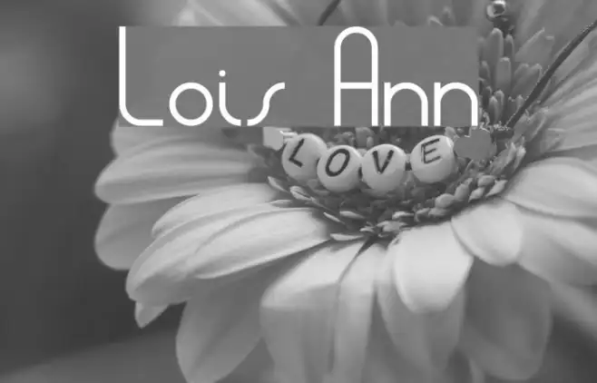 Lois Ann Example 2