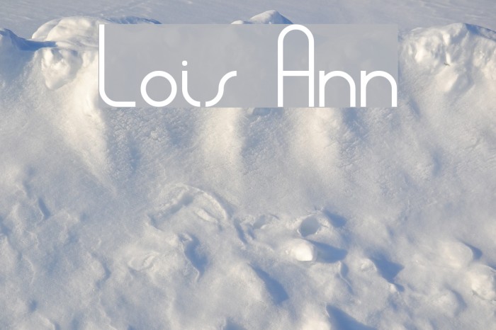 Lois Ann Example 3