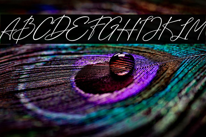 Loisbeauty Example 1