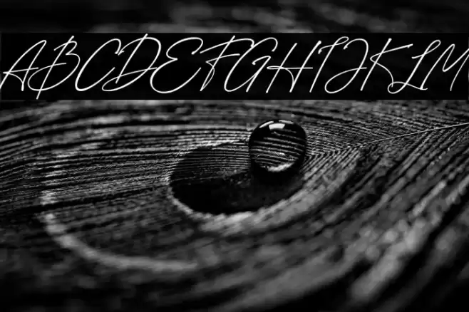 Loisbeauty Font examples