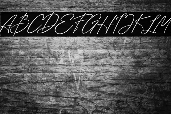 Loisbeauty Font examples