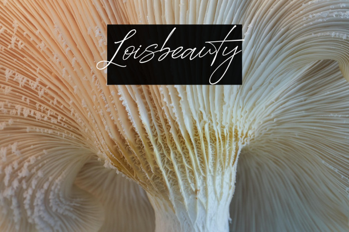 Loisbeauty Example 2
