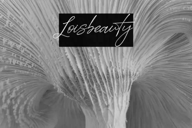 Loisbeauty Font examples