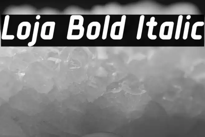 Loja Bold Italic Font examples