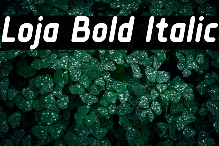 Loja Bold Italic Example 3