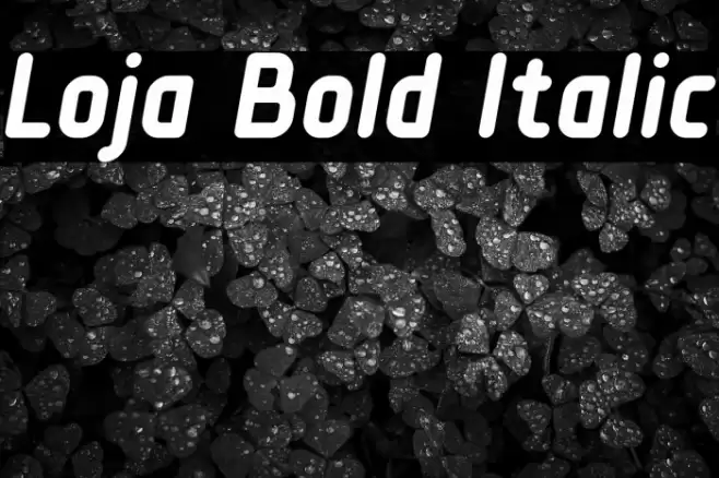 Loja Bold Italic Font examples