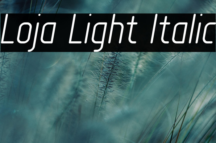 Loja Light Italic Example 1