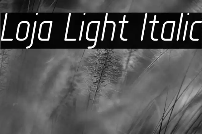 Loja Light Italic Example 1