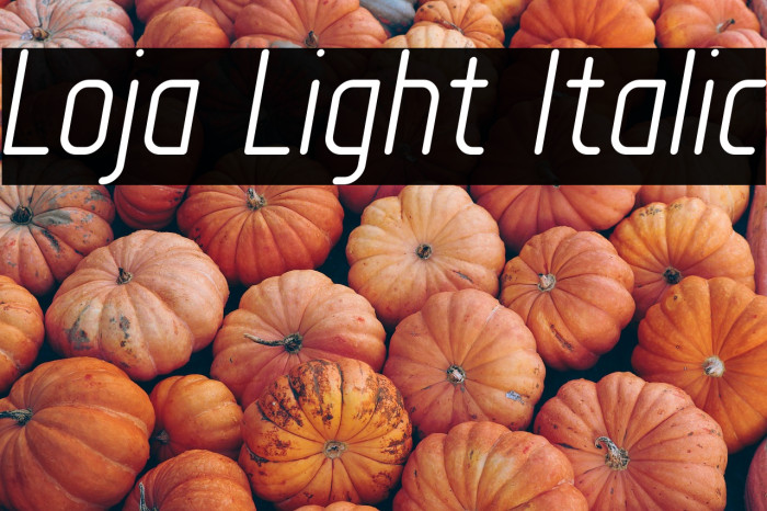 Loja Light Italic Example 2