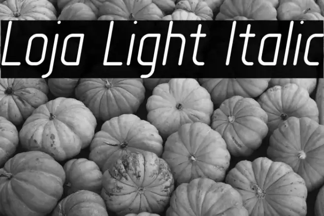 Loja Light Italic Example 2