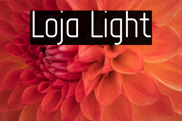 Loja Light Example 3