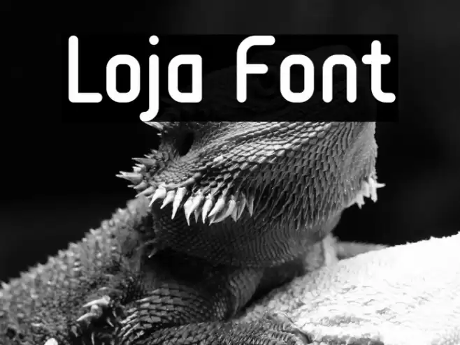 Loja Font examples