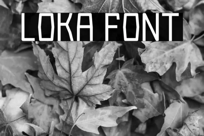 Loka Example 1