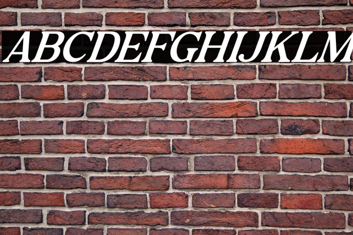 Lokey Italic Example 1