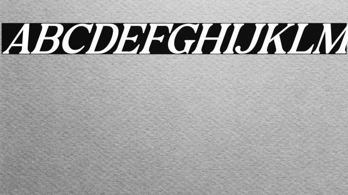 Lokey Italic Example 2