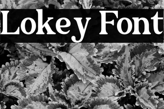 Lokey Example 3