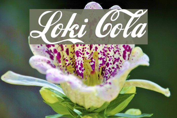 Loki Cola Font examples