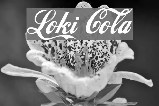 Loki Cola Шрифта examples